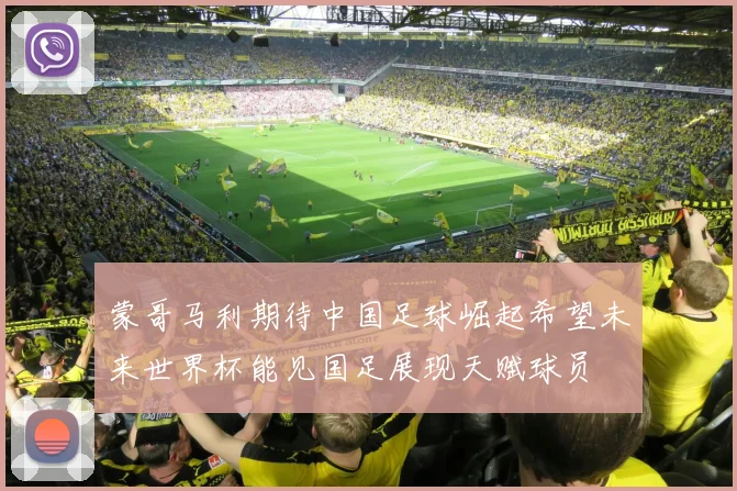 蒙哥马利期待中国足球崛起希望未来世界杯能见国足展现天赋球员